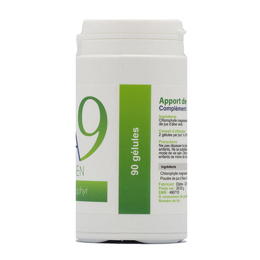 Chlorophyt Eliphe Ca9 Plants Apoticaria