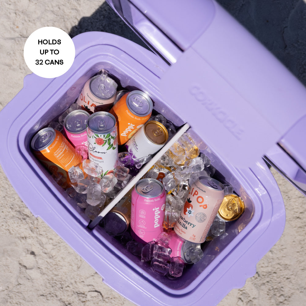 25 Quart Hard Cooler Chillpod Rose Quartz