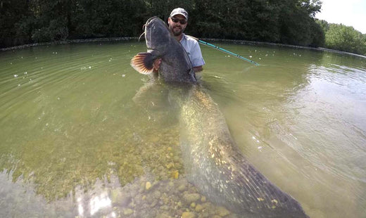 Wels Catfish And The 12wt Boca Grande Fly Rod Epic Fly Rods