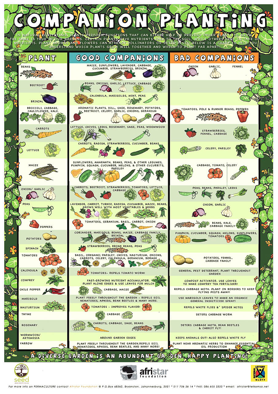 Companion Planting Reference Guide Garden Tower