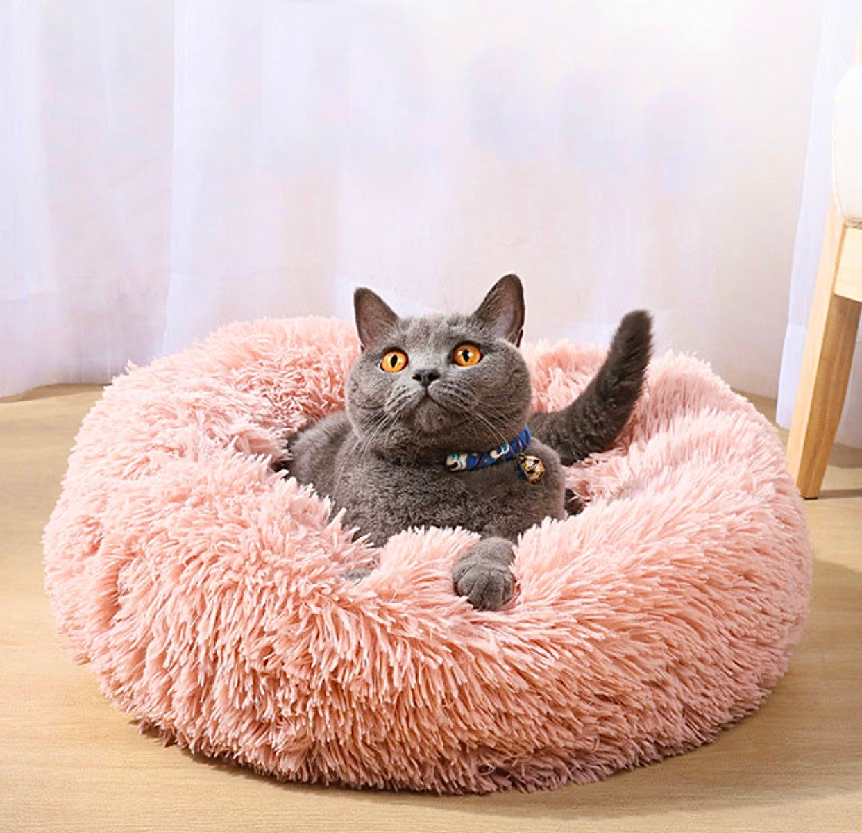 Misir Yerli Zorunlu Antistress Bett Fur Hunde Veda Krater Gosteri