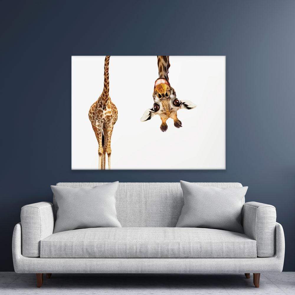 Happy Upside Down Giraffe Canvas Print Art Print Shop
