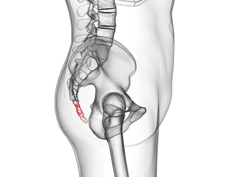Douleur Au Coccyx Causes Et Traitements Relax Sante