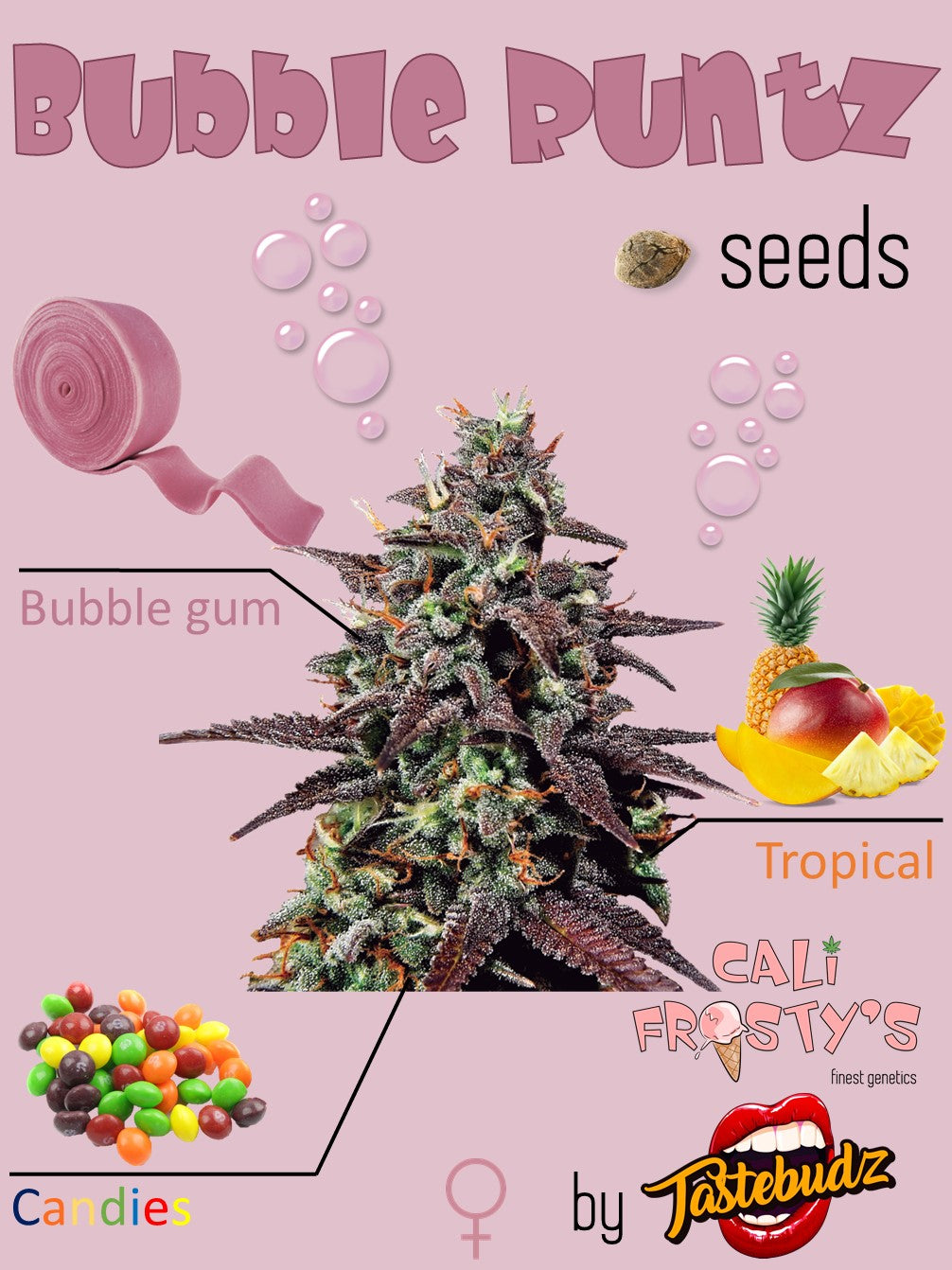 Bubble Runtz Califrosty