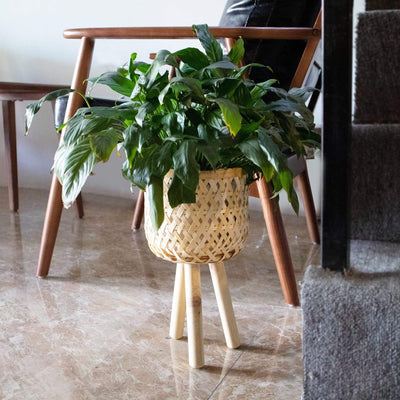 Wicker Planter Basket W Removable Legs For Indoor And Outdoor All We Made Terra