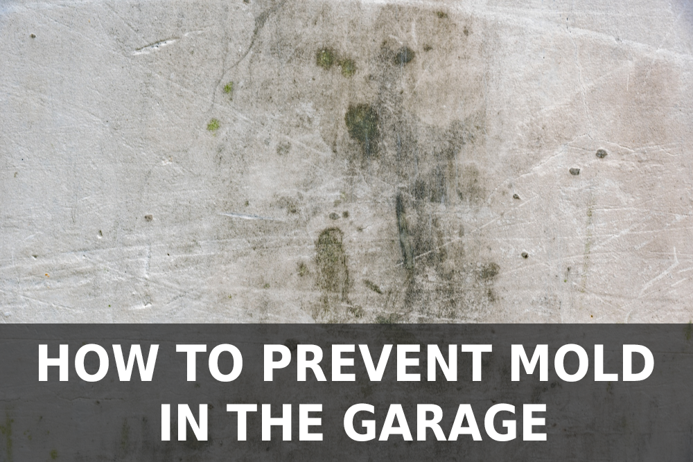 How To Prevent Mold In The Garage Garage Door Nation
