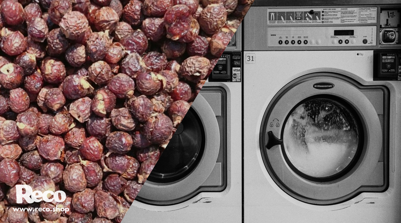 How To Use Soap Nuts Natures Eco Friendly Washing Powder Reco
