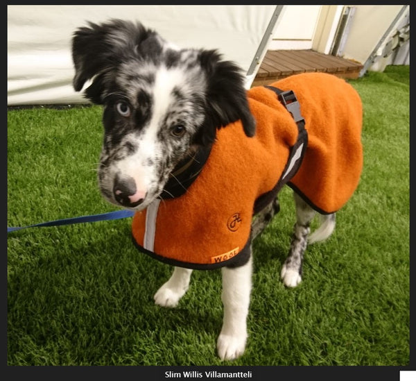 Ulltacke For Hund Helsitar Rennerbroderi