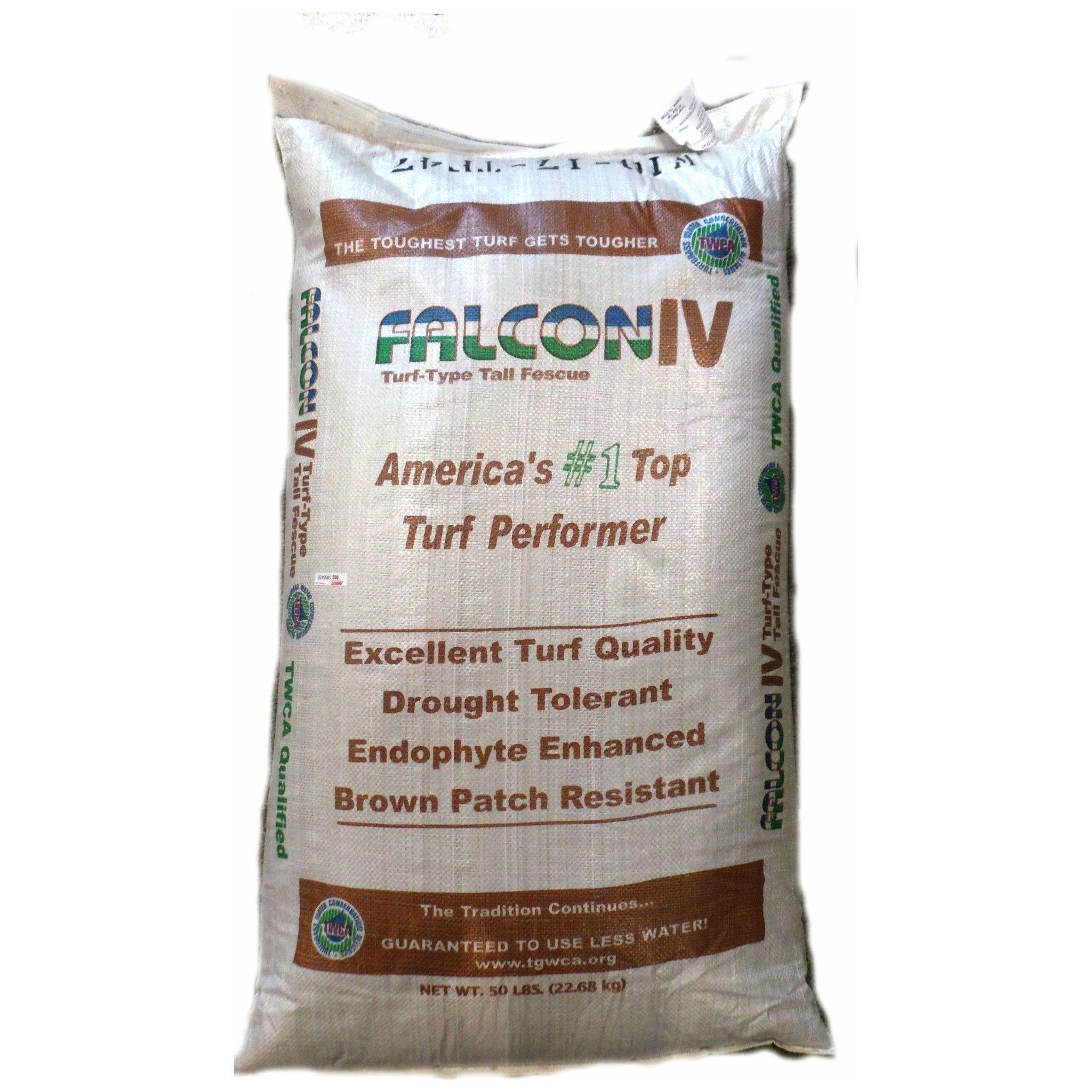 Falcon Iv Turf Type Tall Fescue Grass Seed 50 Lbs Seed World