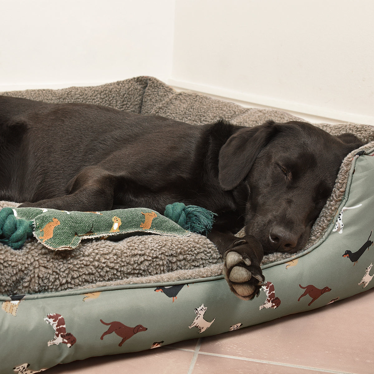 Labrador Large Dog Bed By Sophie Allport Sophie Allport