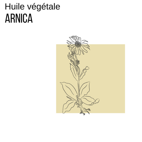 Proprietes De L Huile Vegetale D Arnica Medene