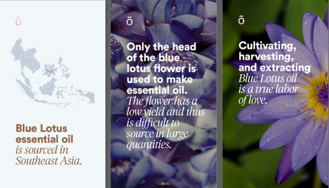 Doterra Blue Lotus Essential Oil Dōterra Essential Oils