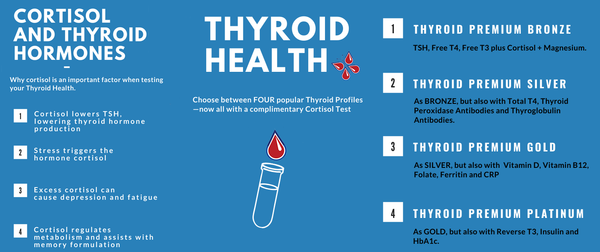 Thyroid Blood Tests Blue Horizon Blood Tests