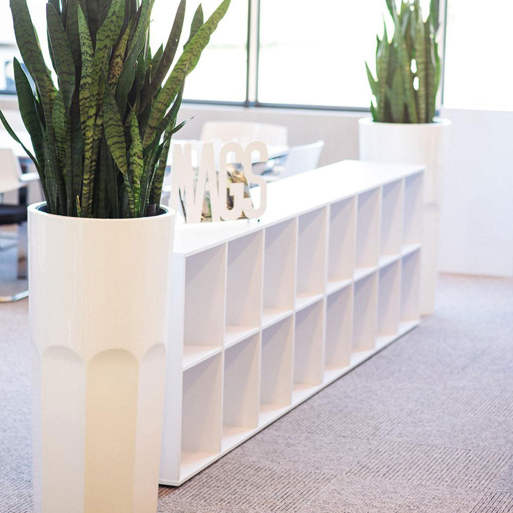 Pots Planters
