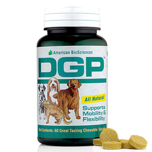 Dog Gone Pain Dr Judy Morgan S Naturally Healthy Pets