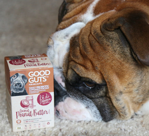Can Dogs Eat Coconut Oil Fidobiotics