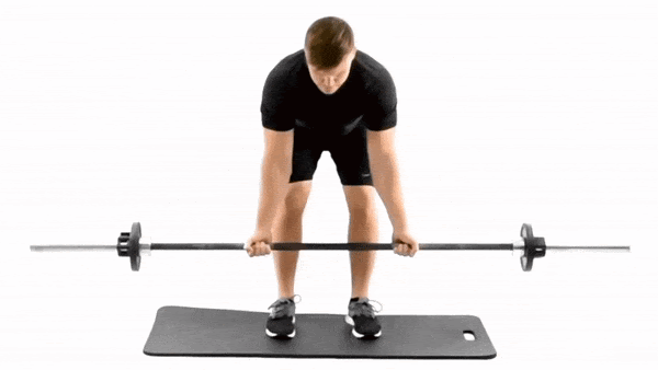 Straight Arm Lat Pulldown How To Grow A Bigger And Stronger Back