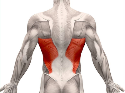 7 Intense Bodyweight Lat Exercises Lat Workouts At Home