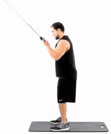 Reverse Grip Tricep Pushdown 101 Form Benefits Alternatives