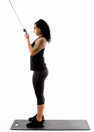 Reverse Grip Tricep Pushdown 101 Form Benefits Alternatives