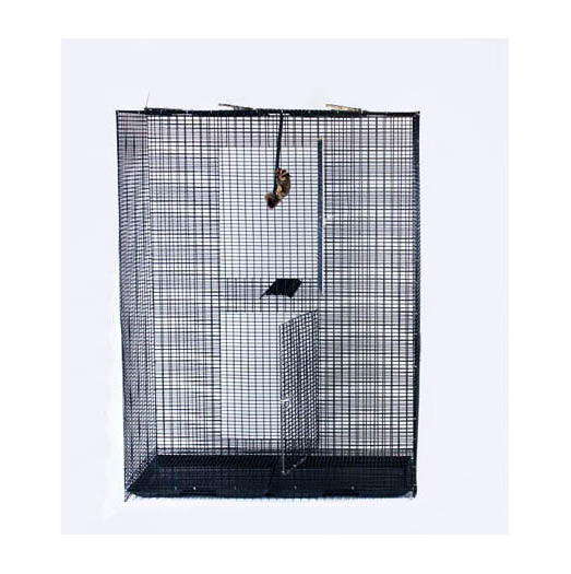 Sugar Glider Cages Veterinary Approved Durability Guaranteed Pocket Pets