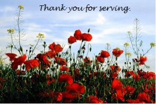 Seaweed Cucumber Salad Vegetarian Catering Ottawa