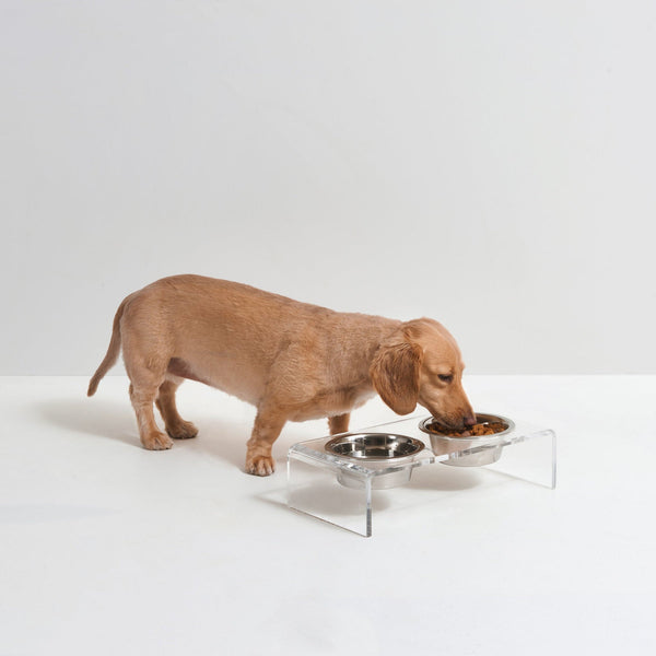 Healthiest Human Grade Dog And Cat Bowls