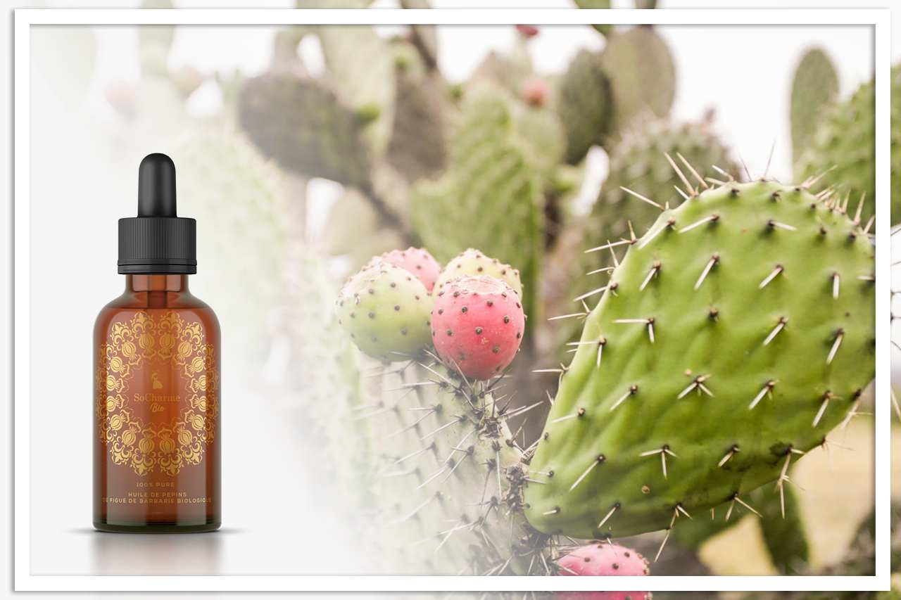 Les Benefices De L Huile De Figue De Barbarie Socharme