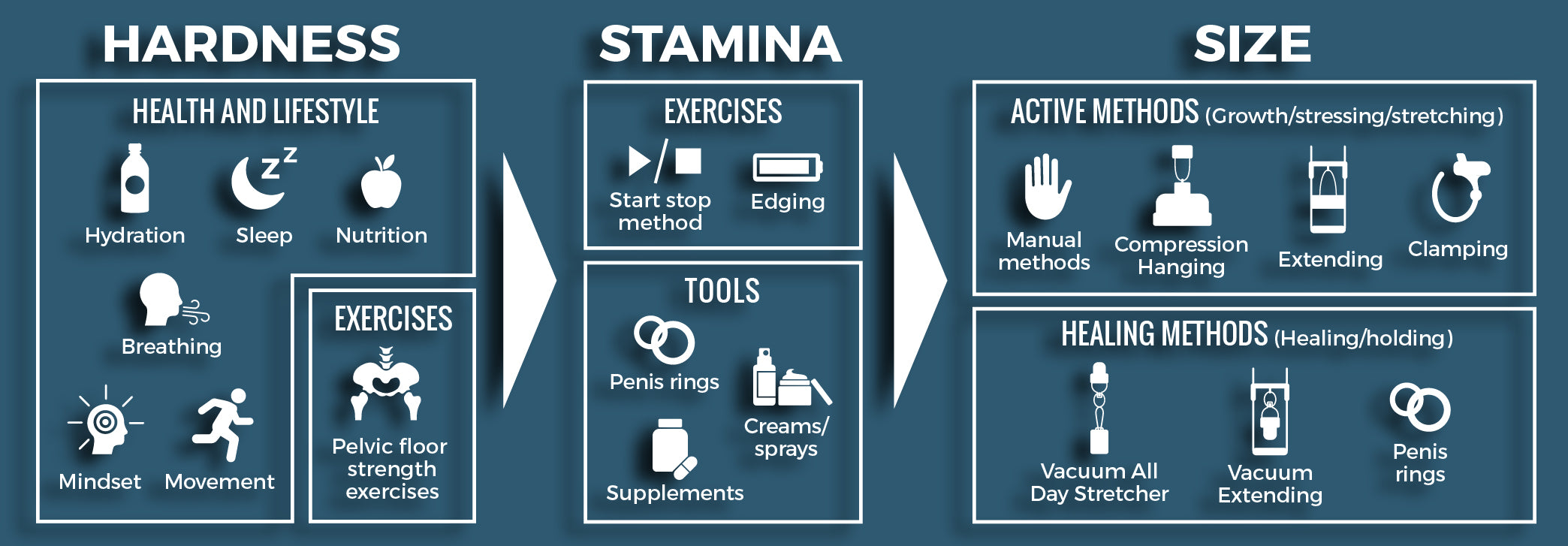 How To Get Harder Last Longer And Increase Size Total Man Coaching Pty Ltd