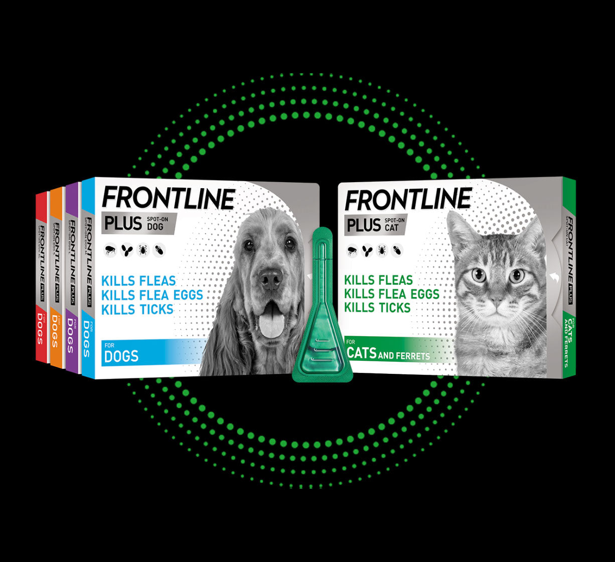 Frontline For Dogs Cats Flea Tick Treatment Lloydspharmacy