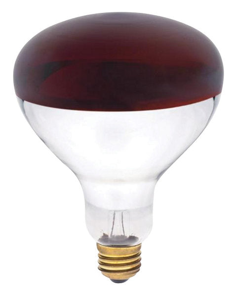 Heat Lamp 250w R 40 Red Hi Pro Ace Supercentre