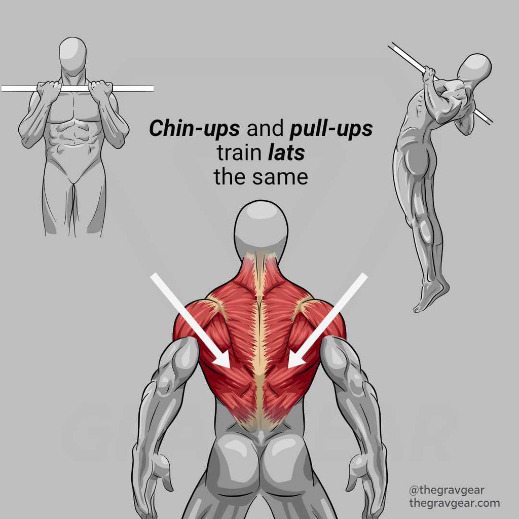 Chin Ups Or Pull Ups How To Choose The Best Upper Body Exercise Gravgear