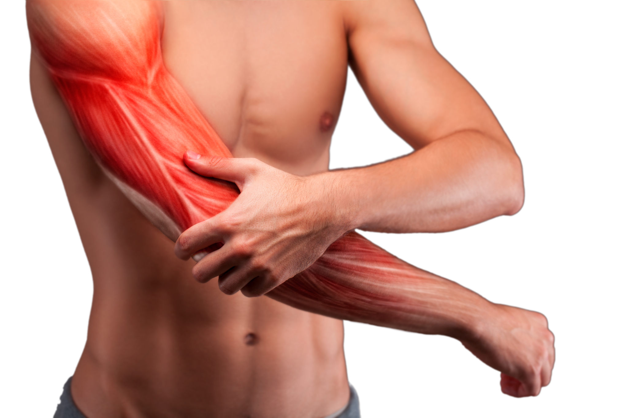 Man's upper body. Left hand holding right arm with rendering of muscles to show muscle pain.