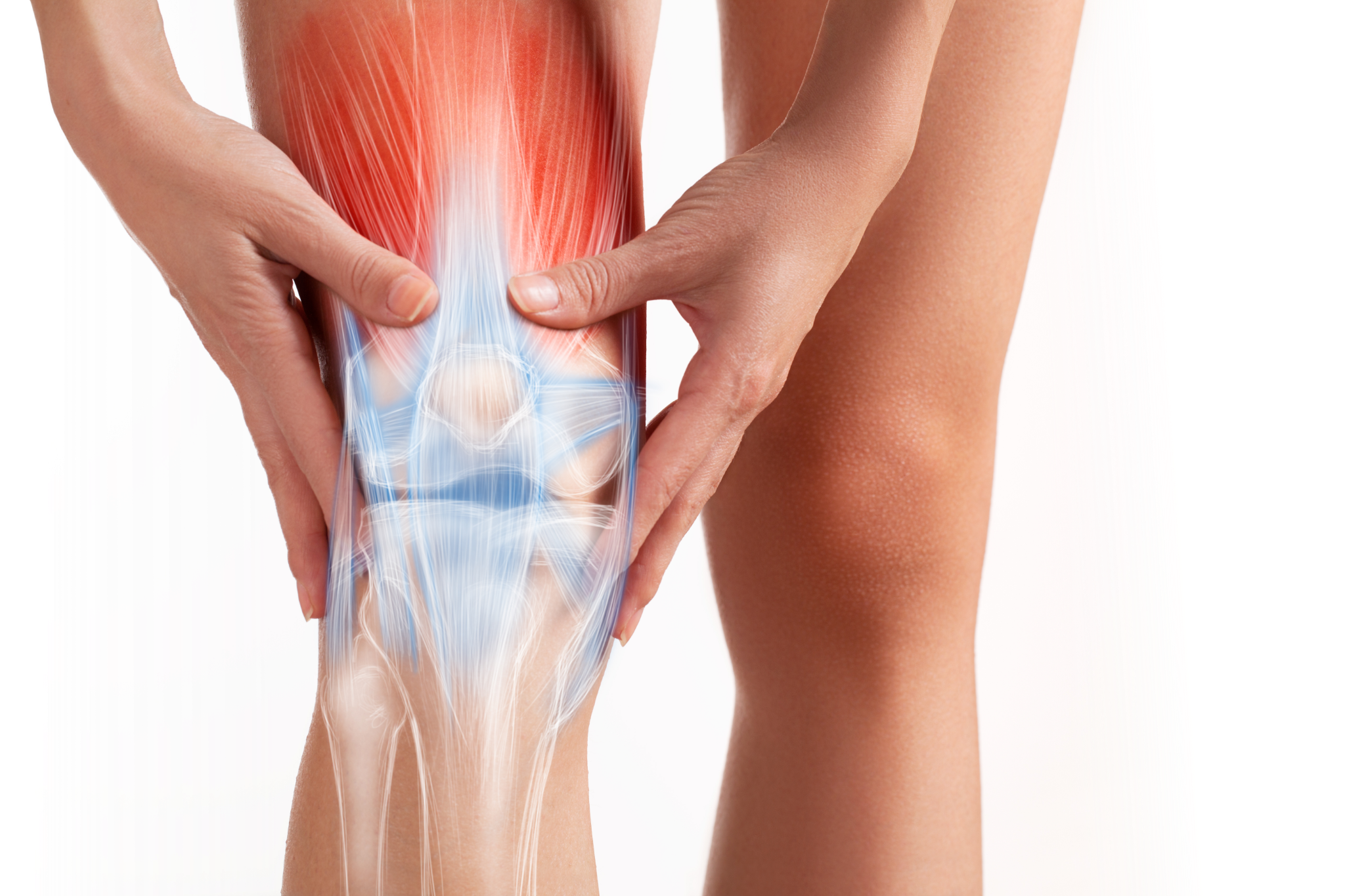 Rendering of knee with bones, tendons and ligaments showing; emphasising knee pain.