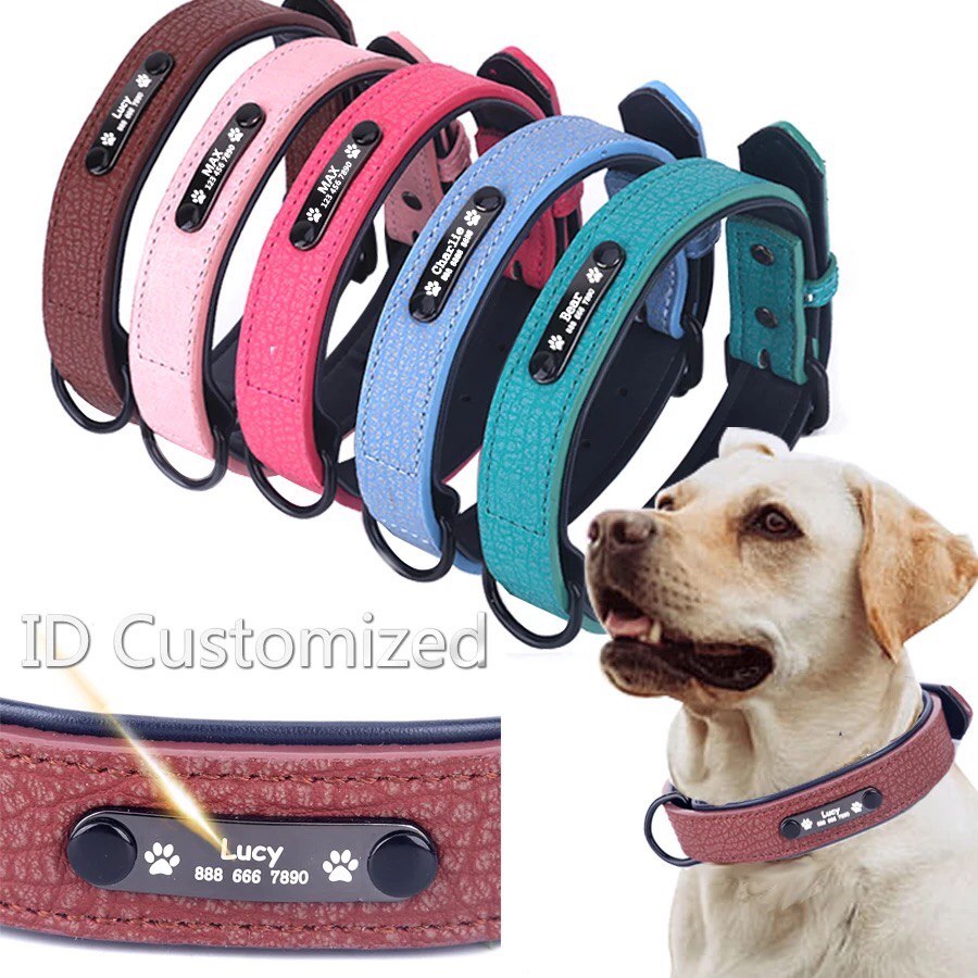 Collare Personalizzato Italian Style Buster Pez