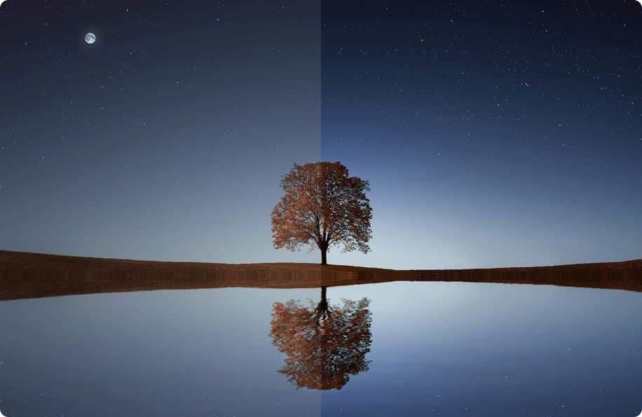 Remarkable Brightness, Contrast, and Color