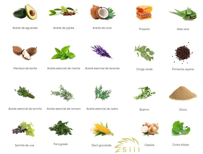 Plantas Naturales Para Evitar La Caida Del Cabello Y Recuperarlo Siil