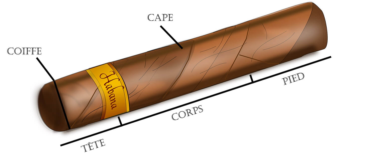 Comment Couper Un Cigare Cigare Gentleman