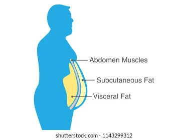 How To Lose Belly Fat Most Comprehensive Guide Sf Healthtech