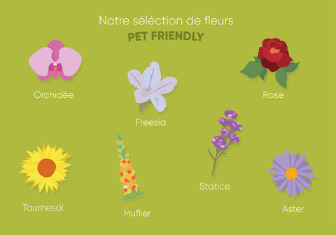 Les Plantes Toxiques Pour Les Chiens Et Chats Stan Bio
