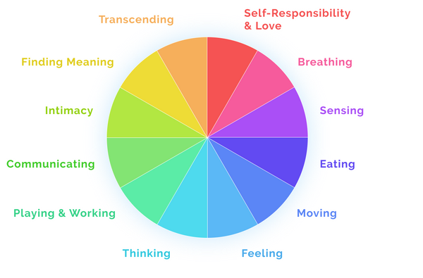 12 Dimensions Of Wellness Body Mind Spirit