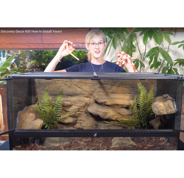 Official Snake Discovery Products Customreptilehabitats Com