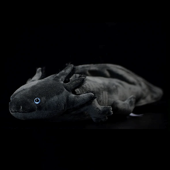 What Do Axolotls Eat The Wild And Captive Diet Of An Amphibian Marvel Gage Beasley