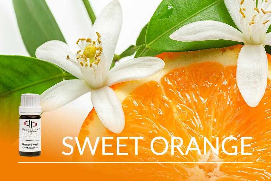 Oil Of The Month Sweet Orange