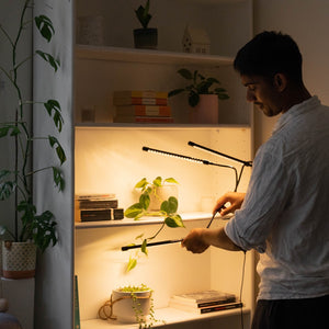 Full Spectrum Led Grow Light Urban Plant Growers Uk