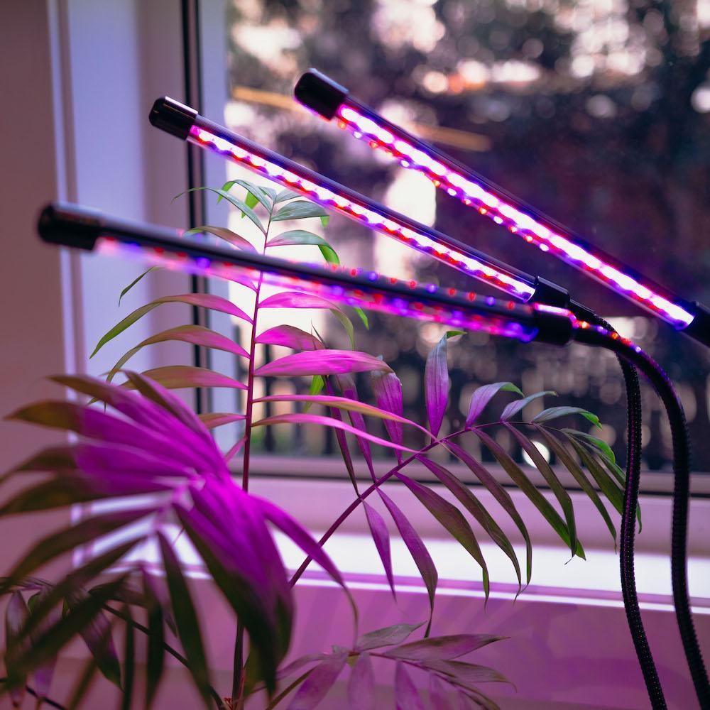 Red Blue Led Grow Light Urban Plant Growers Uk