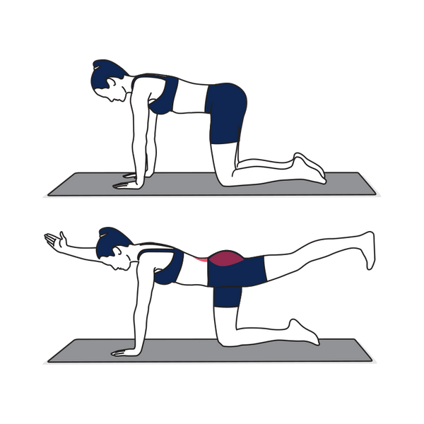 How To Do Bird Dog Exercise With Proper Form And Technique Simply Fitness