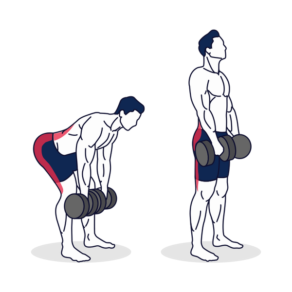 Souleve De Terre Roumain Jambes Tendues Avec Halteres Simply Fitness