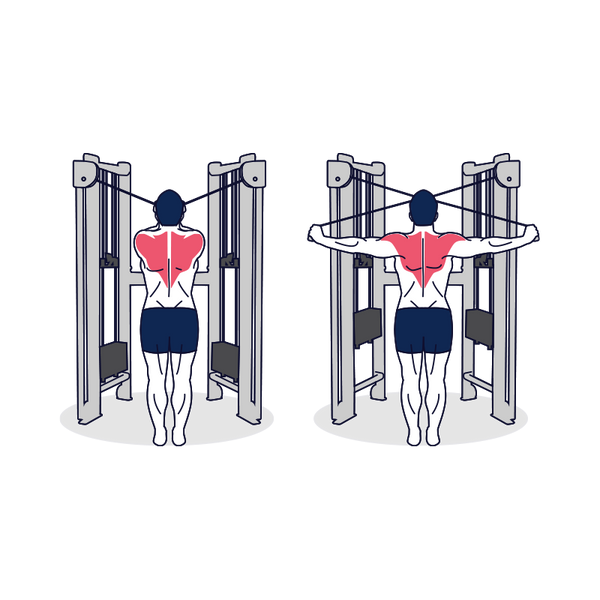 High Cable Rear Delt Fly Simply Fitness