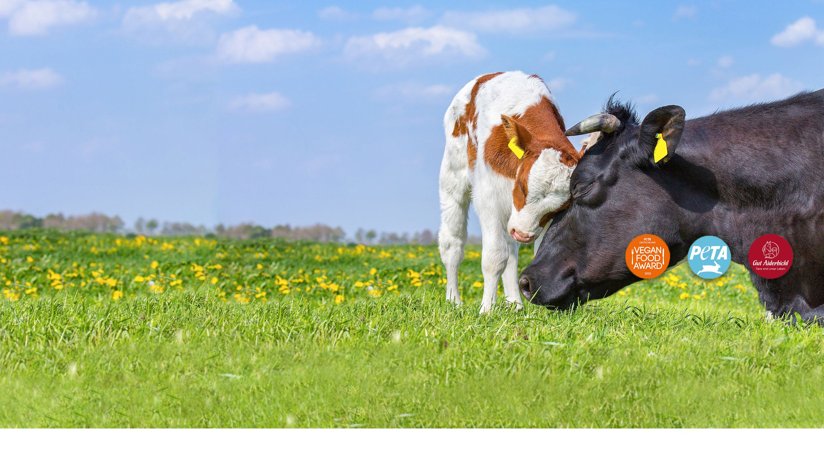 Blue Farm Haferdrinkpulver Fur Frischen Haferdrink In 10 Sekunden